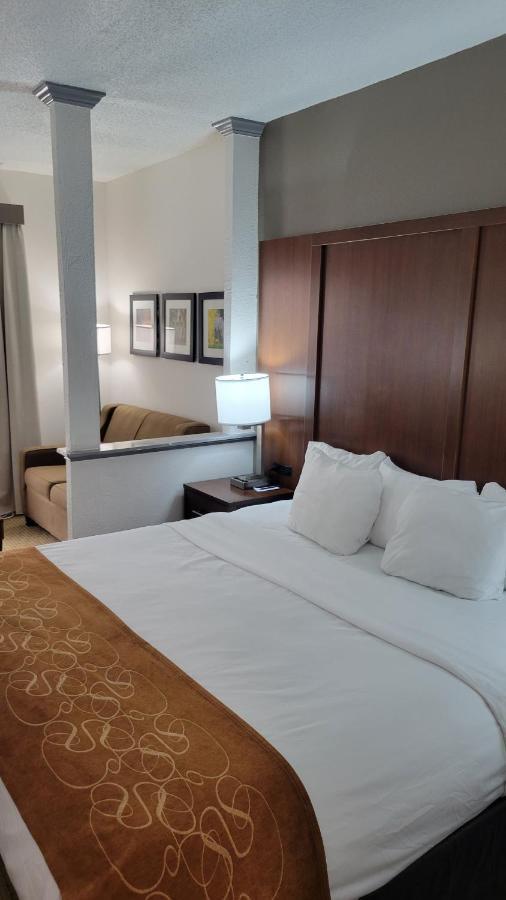 Comfort Suites Cumming-Atlanta Near Northside Hospital Forsyth Eksteriør billede