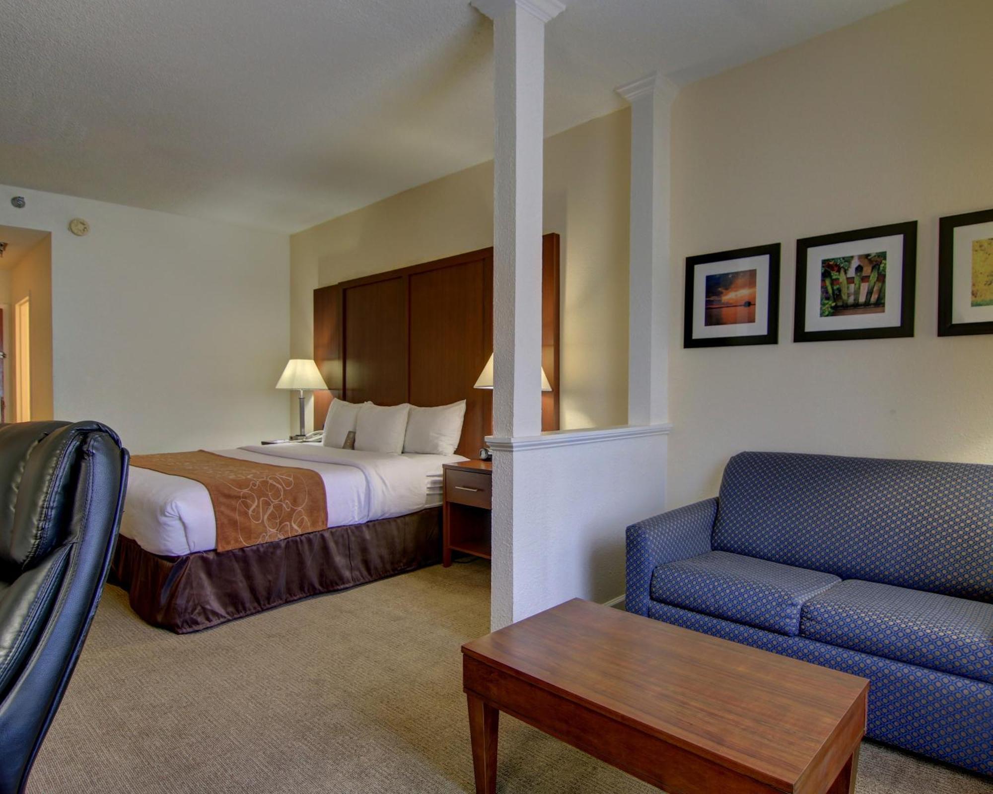 Comfort Suites Cumming-Atlanta Near Northside Hospital Forsyth Værelse billede